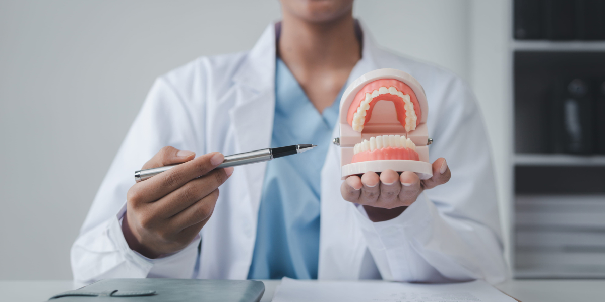 E&E Dental orthodontist
