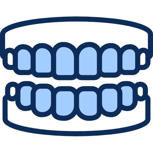 12 Teeth