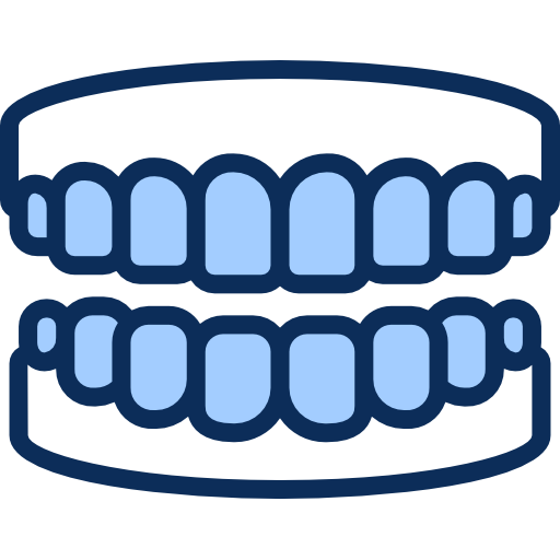 16 Teeth