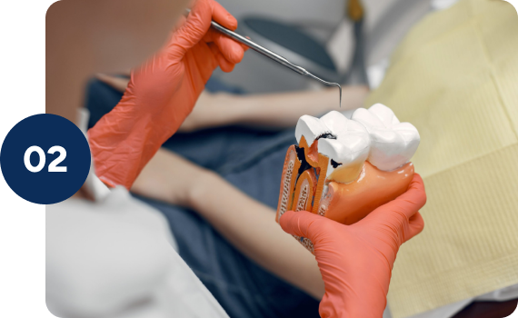 Prevents future fracture